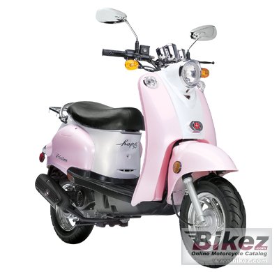2011 Schwinn Hope 50 photo